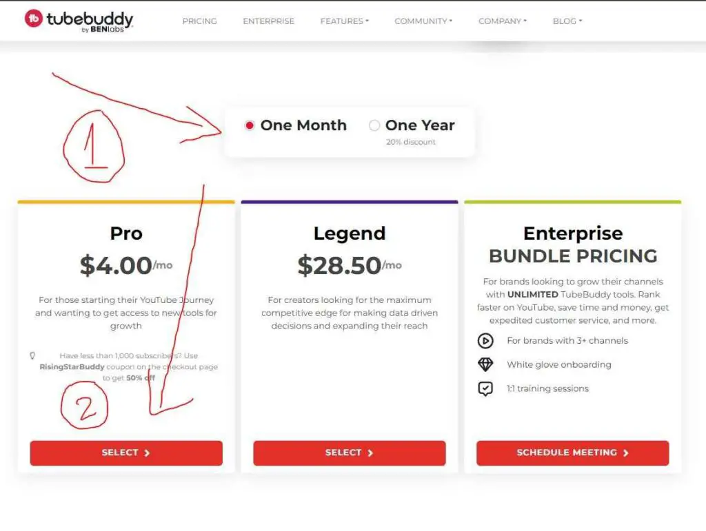 choose tubebuddy pro plan